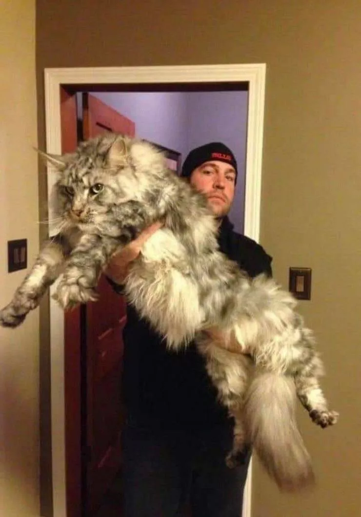 Picdump 562 - #30 