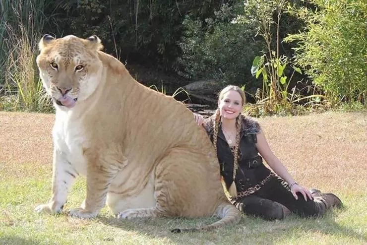 Picdump 562 - #36 