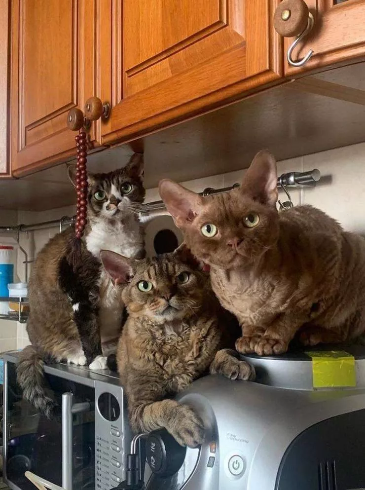 Picdump 562 - #70  Picdump 562 - #70