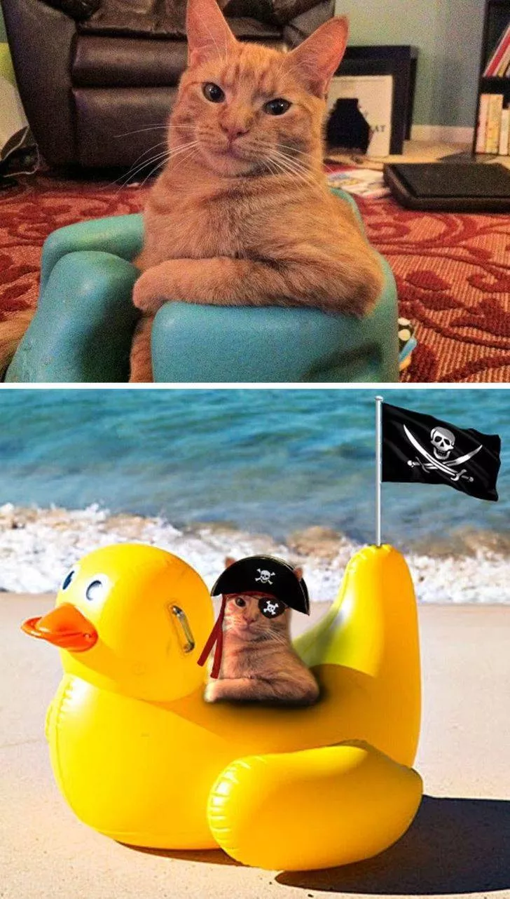 Edition des photos magic - #12 