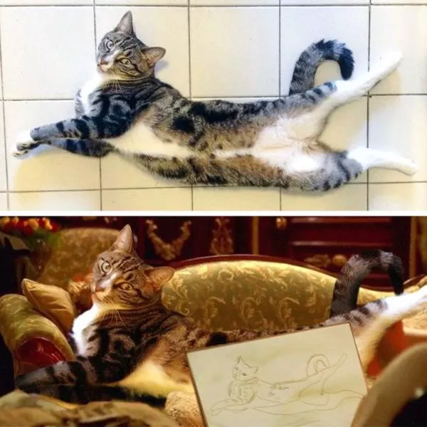 Edition des photos magic - #5 