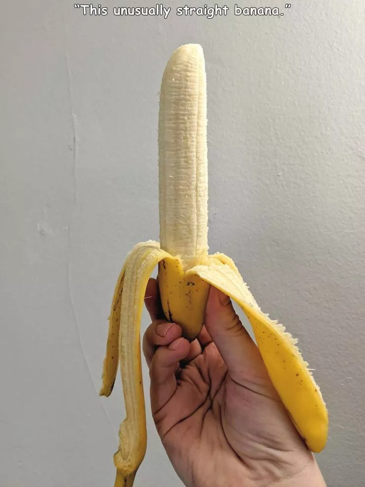 Picdump 563