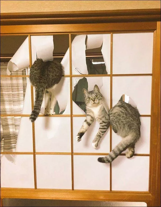Picdump 564 - #23 