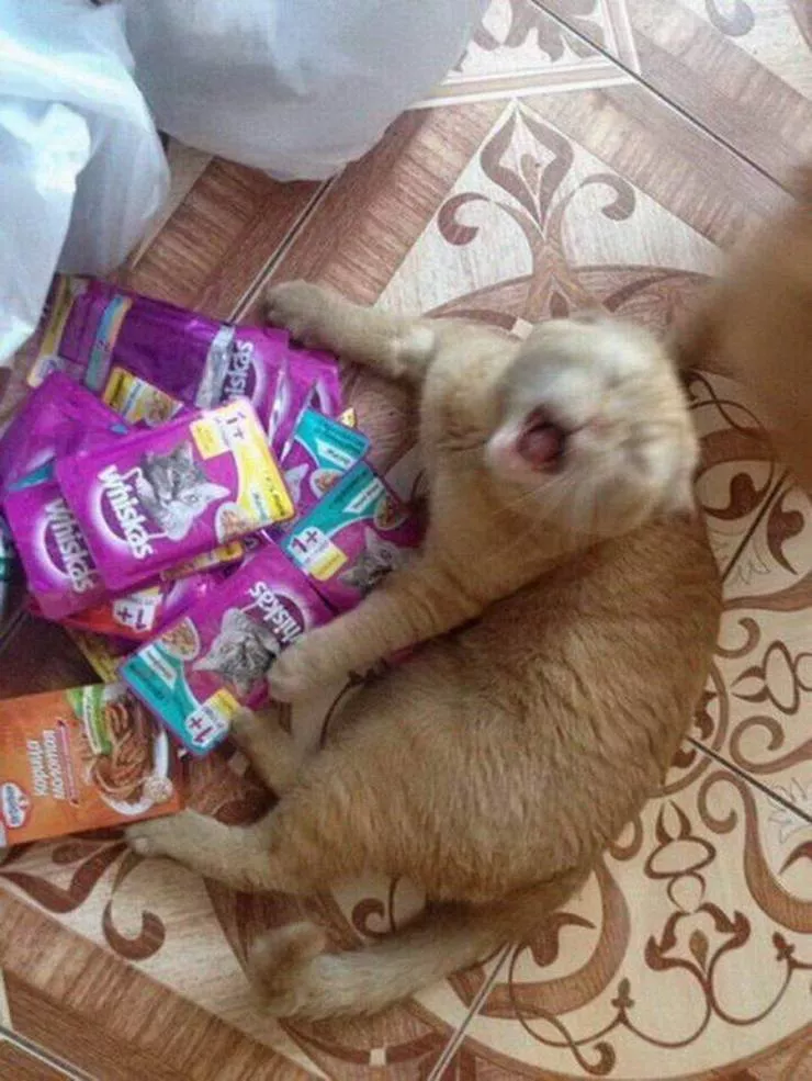 Picdump 564 - #55 