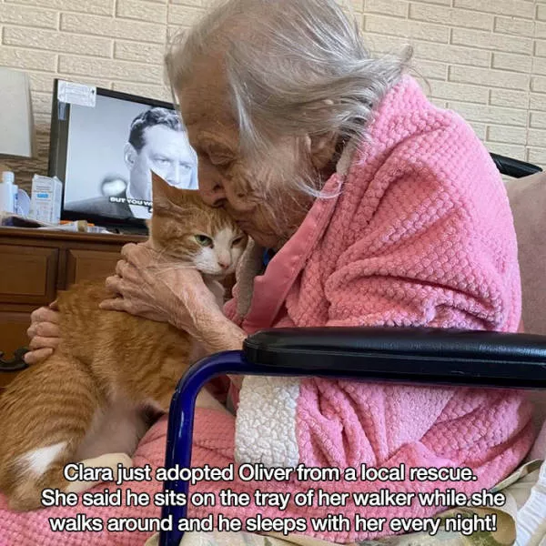 The best simple moments in life - #11 