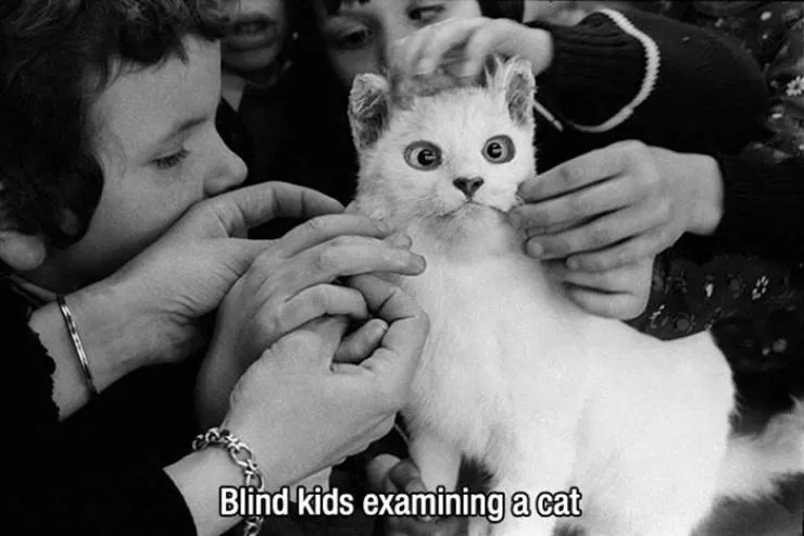 The best simple moments in life - #15 