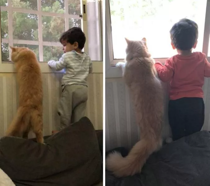 Les meilleurs moments simples de la vie - #30 