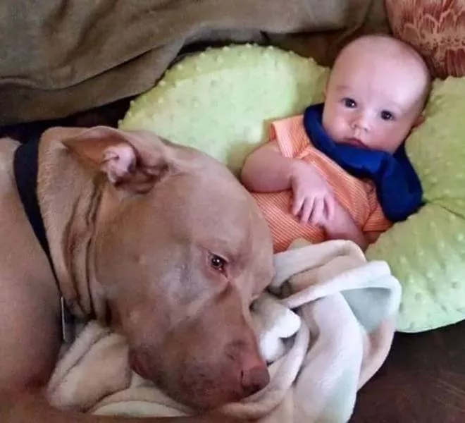 The best simple moments in life - #31 