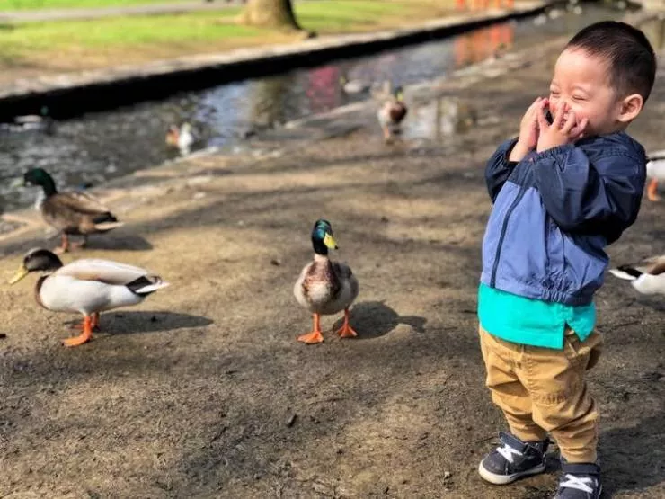 The best simple moments in life - #33 