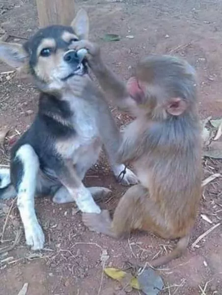 Picdump 91 - #10 