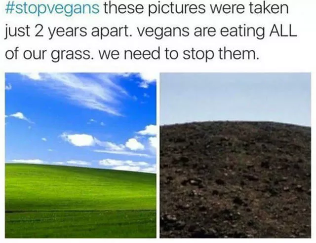 Picdump 91 - #13 