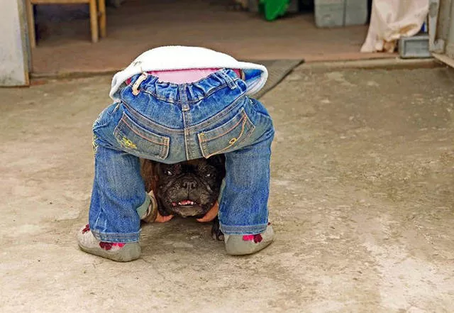 Picdump 91 - #15 