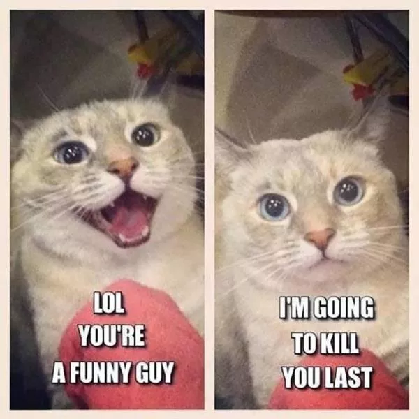 Picdump 91 - #2 