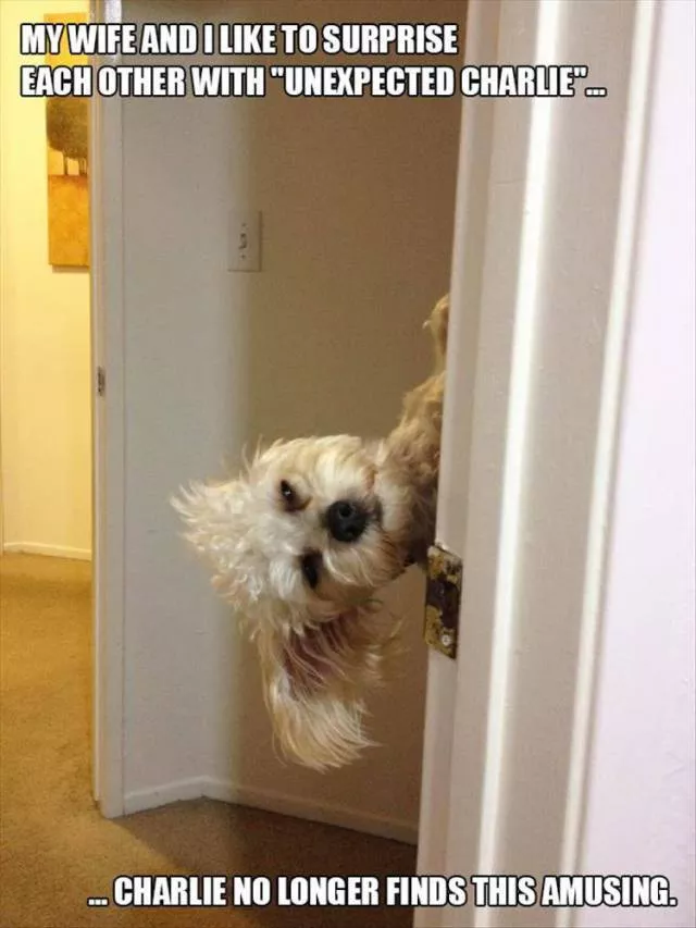 Picdump 91 - #28 