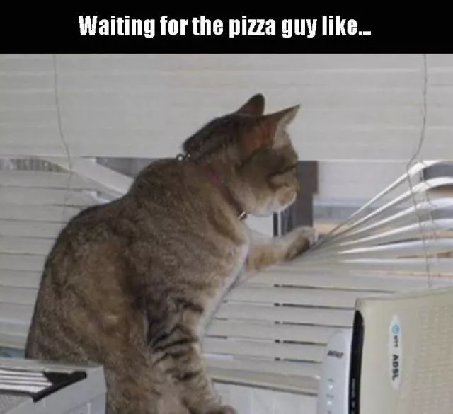 Picdump 91 - #60 