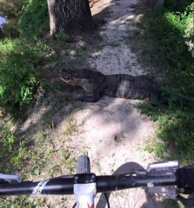 Picdump 566 - #47 