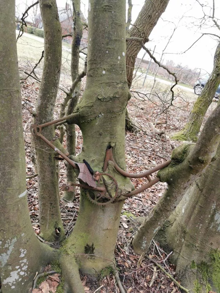 The coolest album of the moment - #1 The bike tree