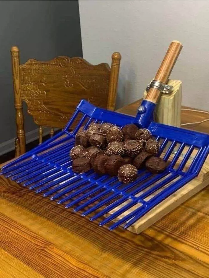 The most bizarre food servings - #19 