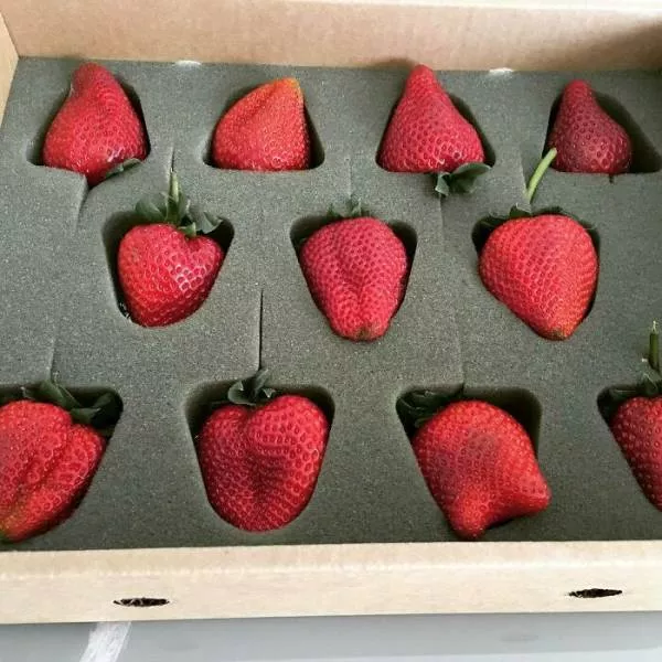 The most unnecessary packaging - #15 