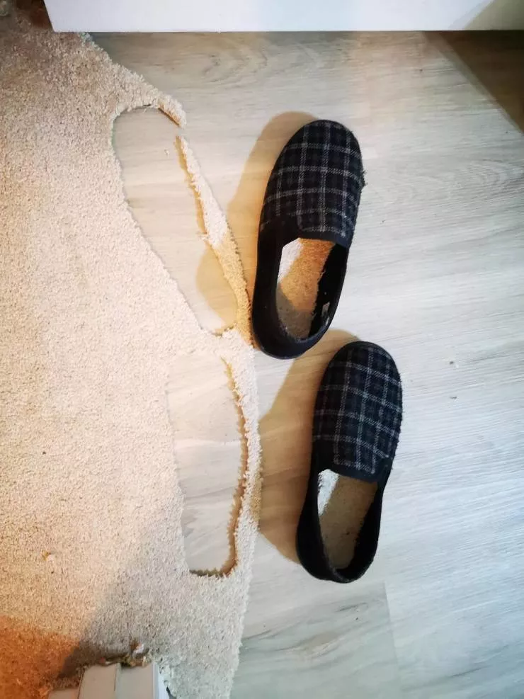 Picdump 567 - #39 