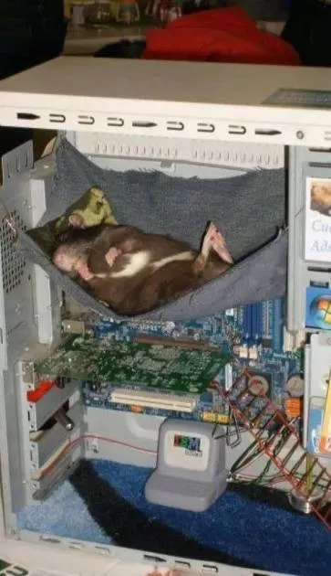 Picdump 568 - #16 