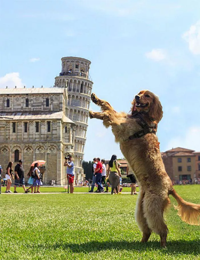 Picdump 568 - #18 