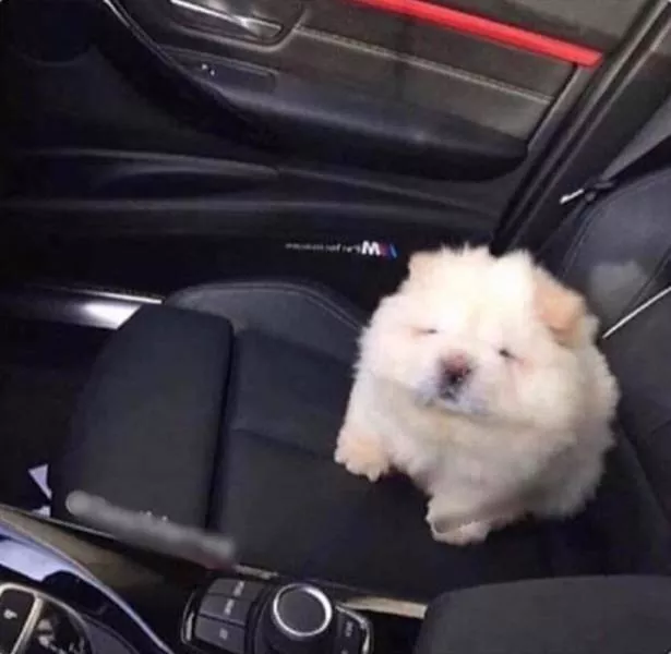 Picdump 568 - #20 