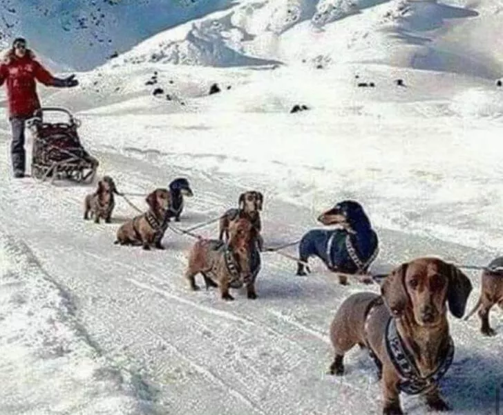 Picdump 568 - #5 
