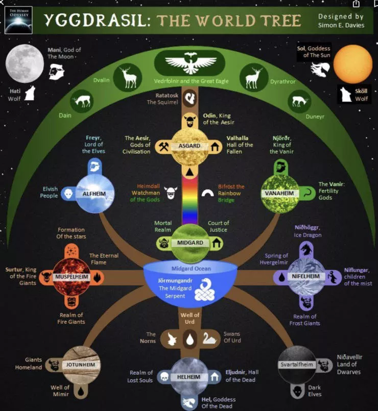 Some graphs rich in knowledge - #25 