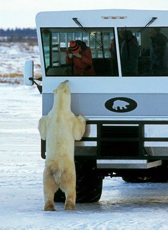 Picdump 570 - #18 