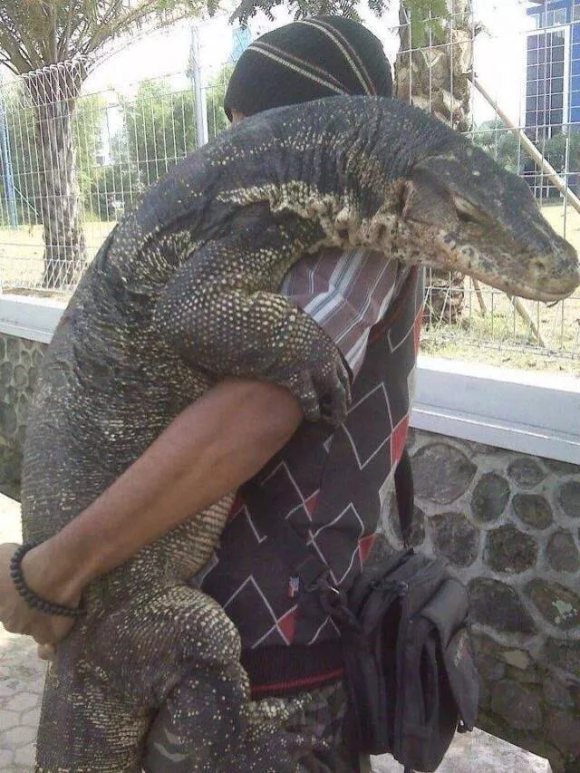 Picdump 570 - #33 