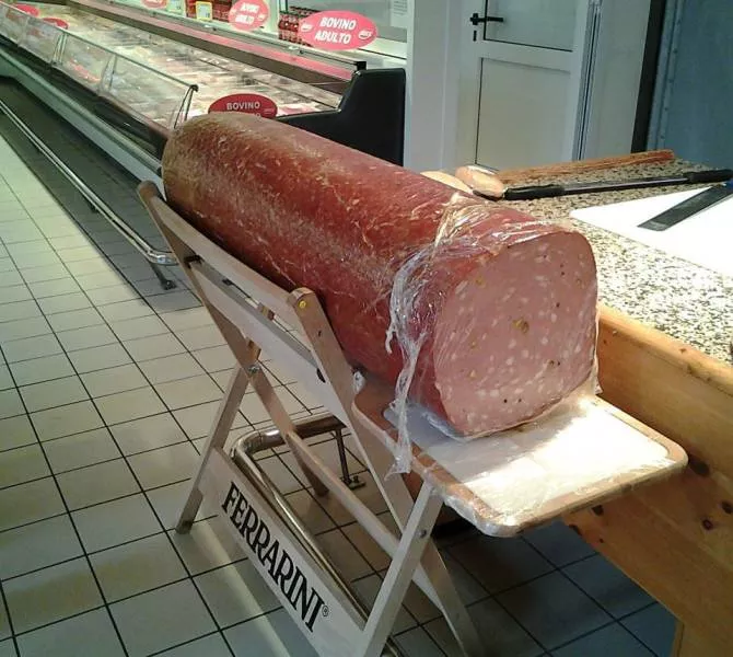 Picdump 570 - #41 