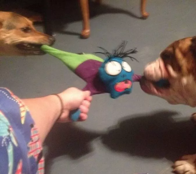 Picdump 570 - #45 