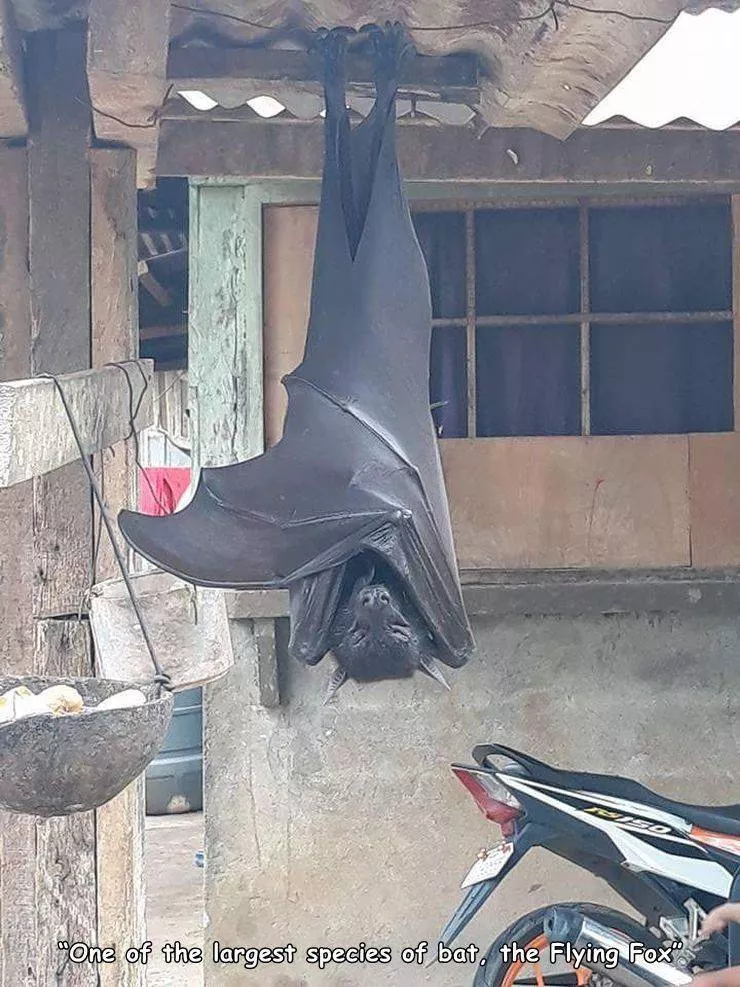 Picdump 571 - #15 