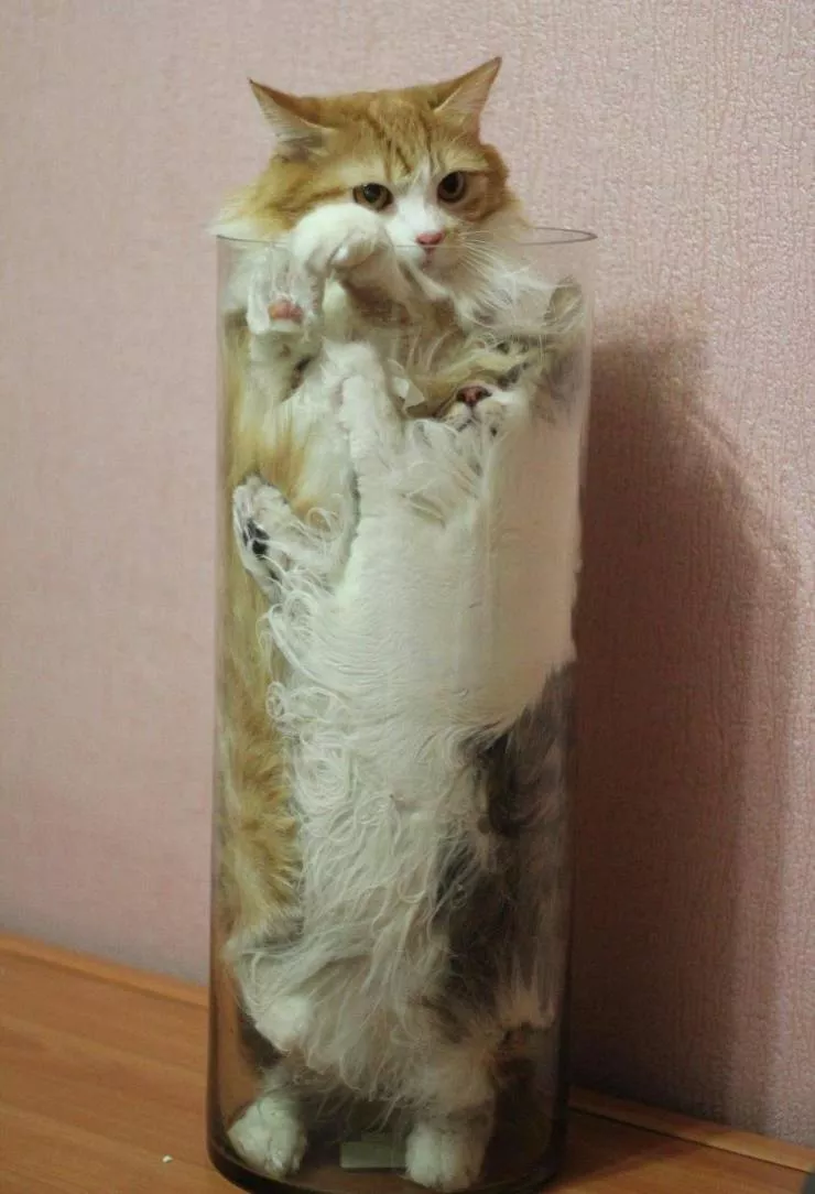 Picdump 571 - #20 