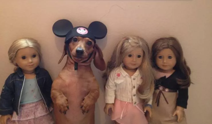 Picdump 571 - #26 