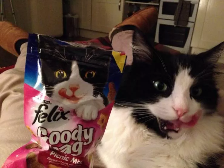 Picdump 571 - #60 