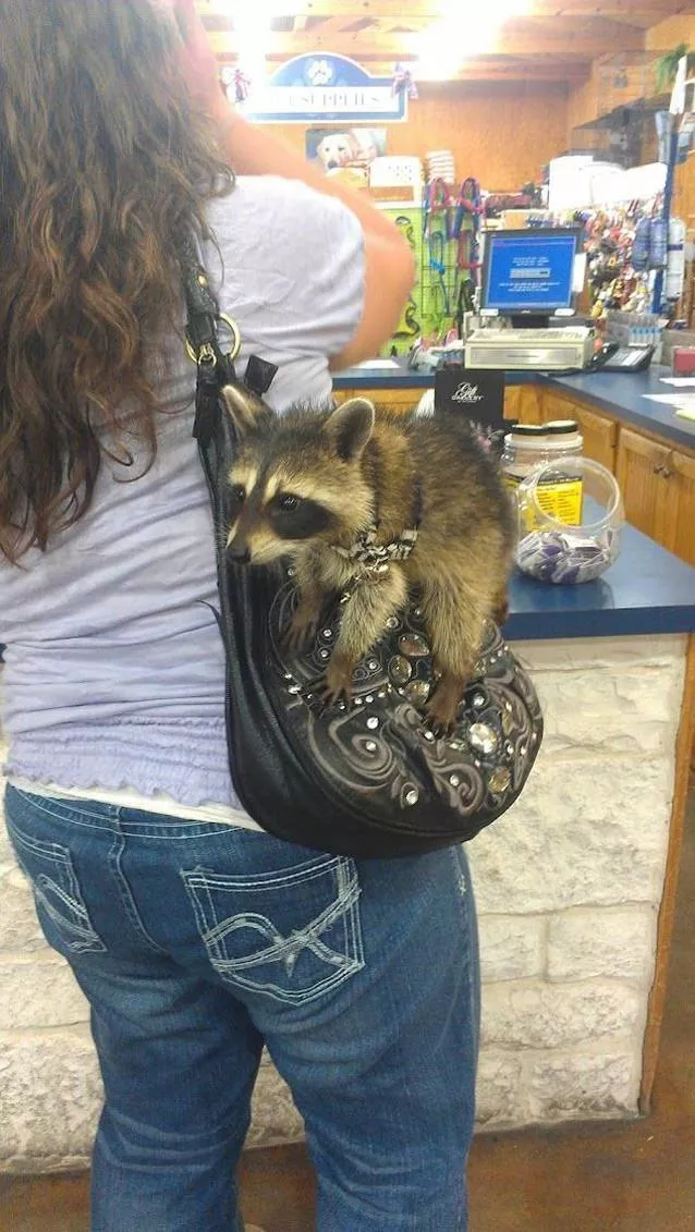 Picdump 571 - #73 