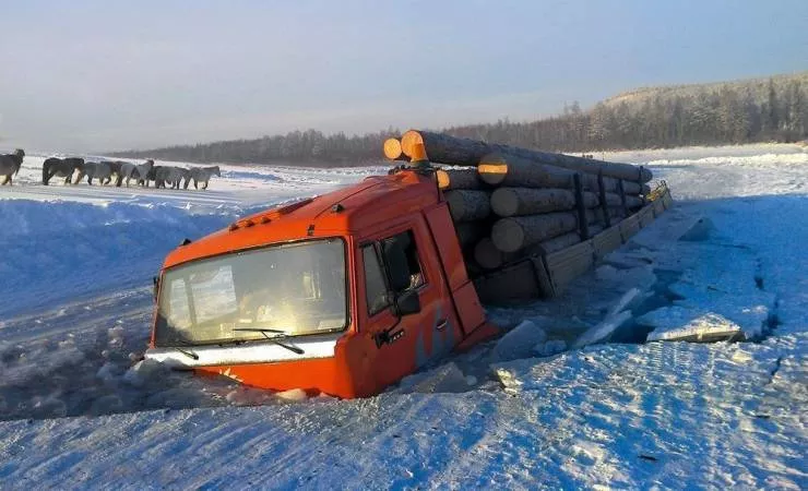 Picdump 571 - #75 