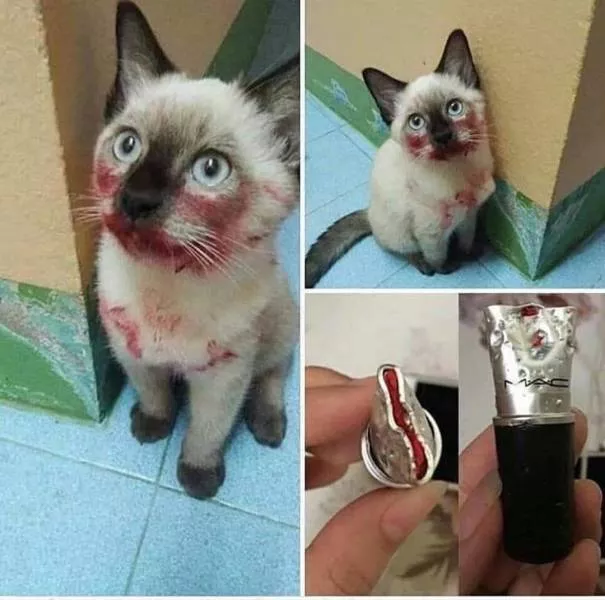 Picdump 571 - #80 