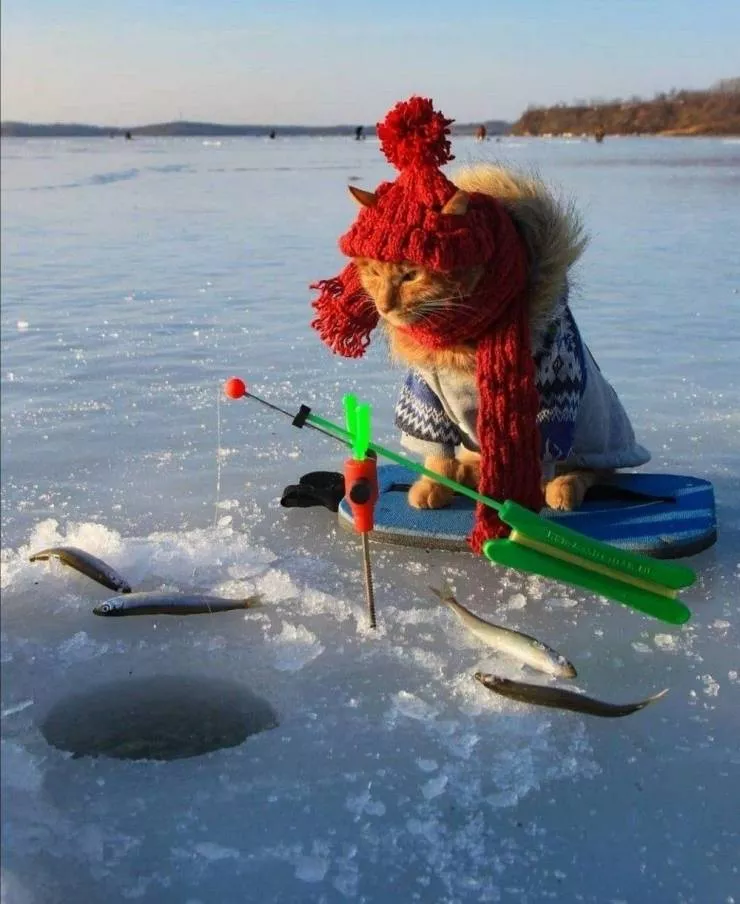 Picdump 572 - #11 