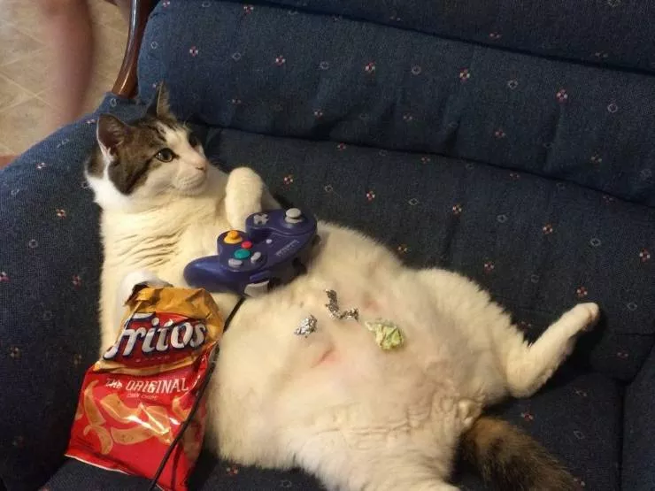 Picdump 573 - #65 