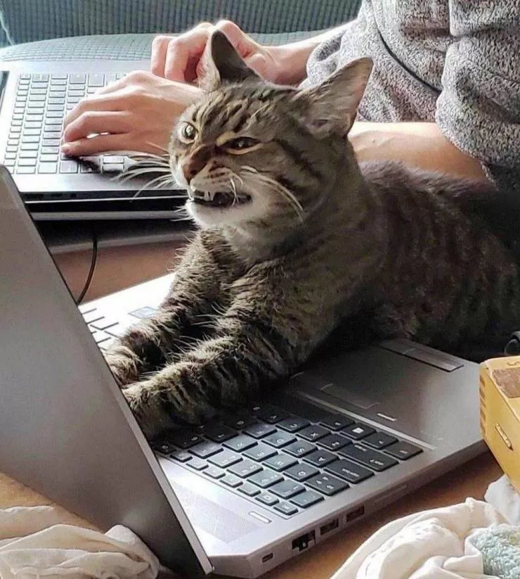Picdump 573 - #80 