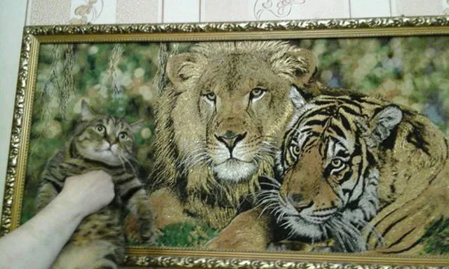 Picdump 92 - #16 