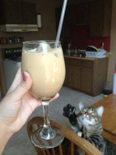 Picdump 92 - #24 