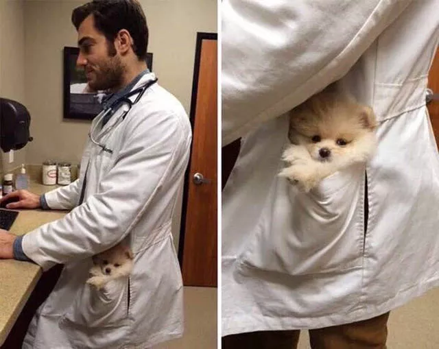 Picdump 92 - #27 