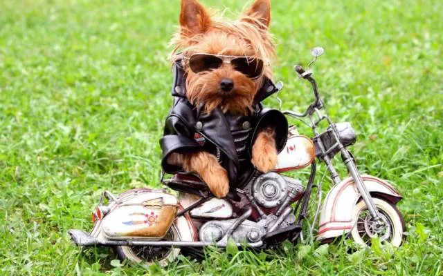 Picdump 92 - #39 
