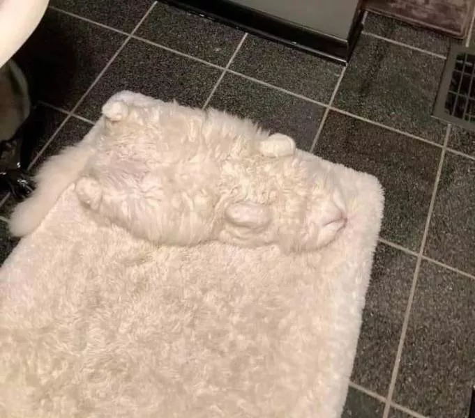Picdump 574 - #2 