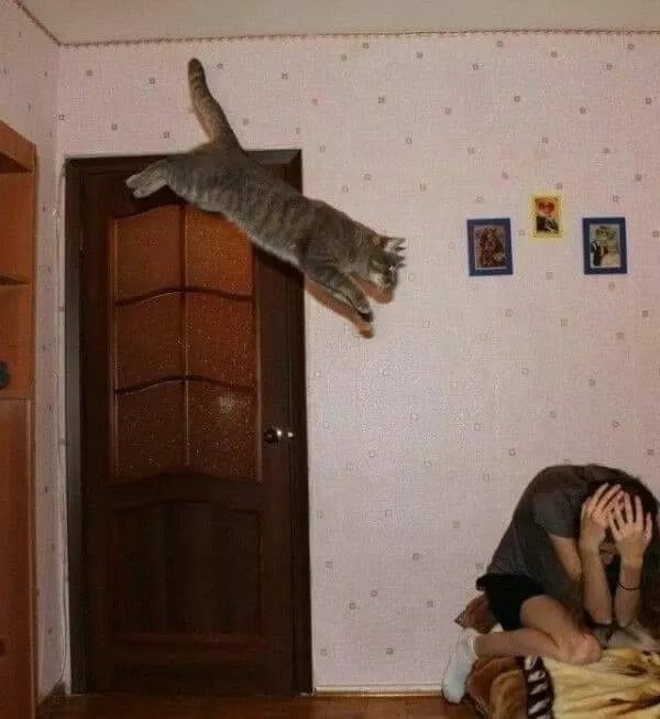 Picdump 575