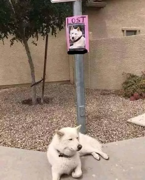 Picdump 575 - #7 